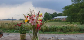 Гостиница Ferienhaus Schäfer  Фридрикстадт